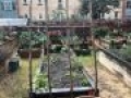 plot 1